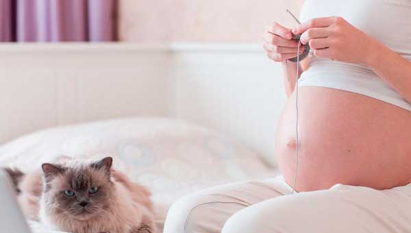 Ведение беременности и родов при токсоплазмозе