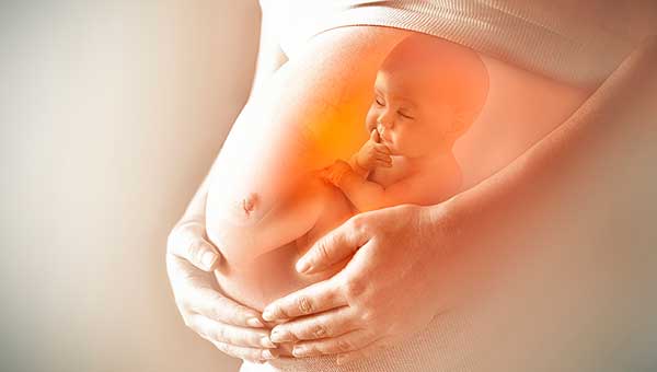 Перші рухи плода під час вагітності 
