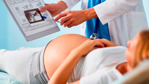 Профілактика токсоплазмозу під час вагітності
